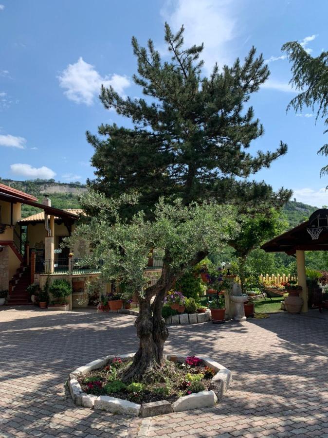 Le Ceppete Apartment Palombaro Екстериор снимка